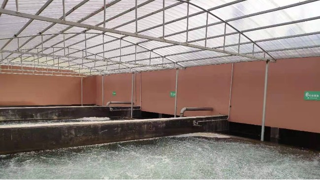博取COD、氨氮及總磷分析儀應用于江西農村污水廠水質的監測